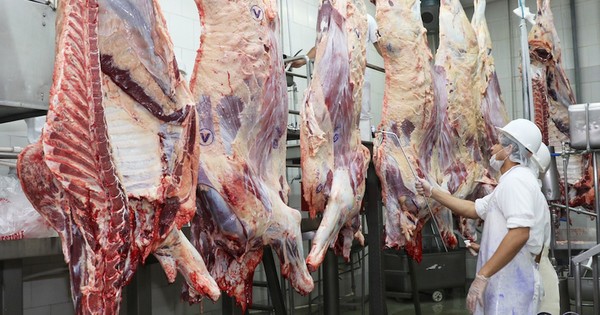 La Nación / Exportaciones de carne repuntan 54% en primeros 5 meses del 2021