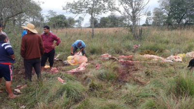 Casos de abigeatos golpean a familias humildes de Concepción