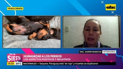 Aspectos positivos y negativos de humanizar a los perros - Ensiestados - ABC Color