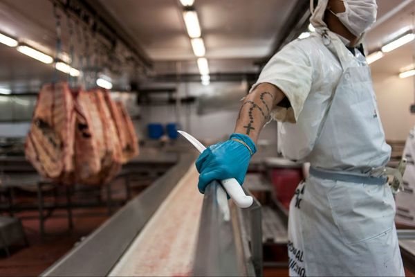 Cepo a la carne en Argentina: exportaciones cayeron 35% y se perdieron US$ 71,3 millones