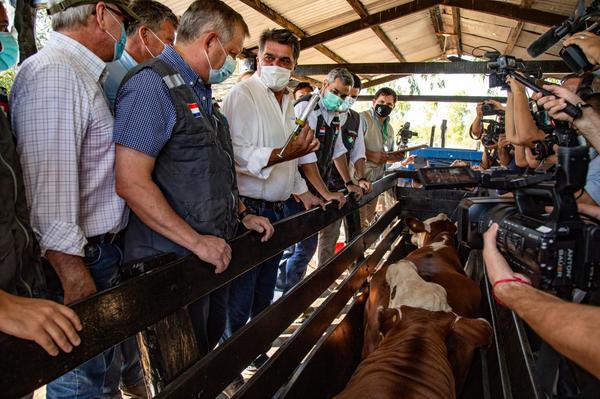 Segundo periodo de vacunación contra la fiebre aftosa alcanzó a 4.794.384 bovinos