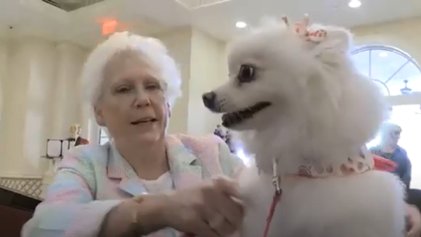 Desfile de perros alienta a residentes de geriátrico tras aislamiento de 2020