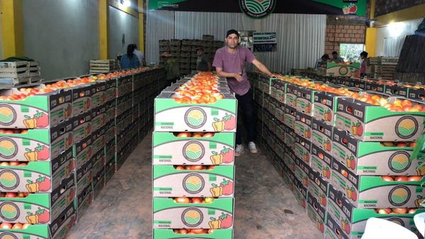 Tomateros analizan nueva movilización por precios