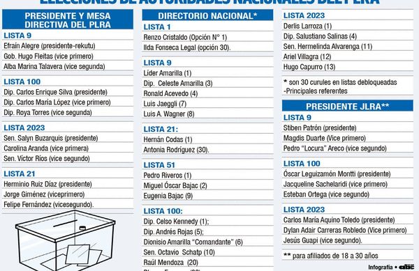 Renovación de cargos definirá a los candidatos, línea y fondos del PLRA - Nacionales - ABC Color