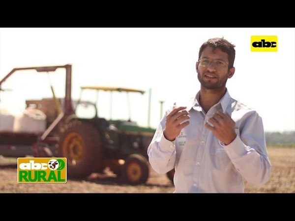 ABC Rural: encalado como sistema de producción y partes de la encaladora - ABC Rural - ABC Color