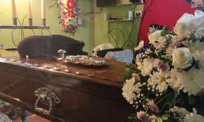 Foto de perra que “se despide” de su dueño fallecido, subiendo sobre ataúd, impacta en las redes