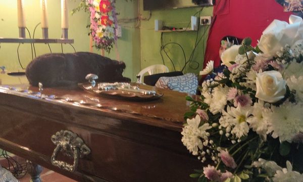 Foto de perra que “se despide” de su dueño fallecido, subiendo sobre ataúd, impacta en las redes