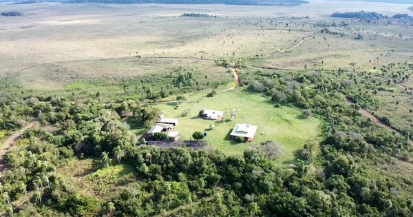 La Nación / Fascinante y arriesgado trabajo de conservar la vida en la Reserva San Rafael