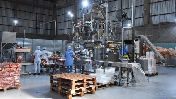 Visitamos Tu Cereal, la fábrica que apunta a vender en cada negocio del país (con miras a la exportación)