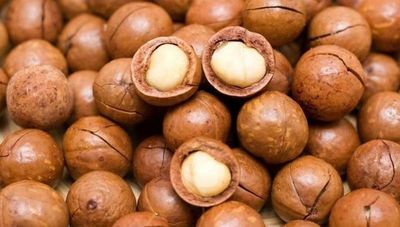 Cooperativa Yguazú, la mayor productora de nuez de macadamia en Paraguay (exporta más del 90% de su producción a Hong Kong, Japón e Italia)