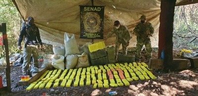 Incautan más de 1.000 kilos de marihuana en una Colonia Indígena en la Zona de Britez Cué | Ñanduti