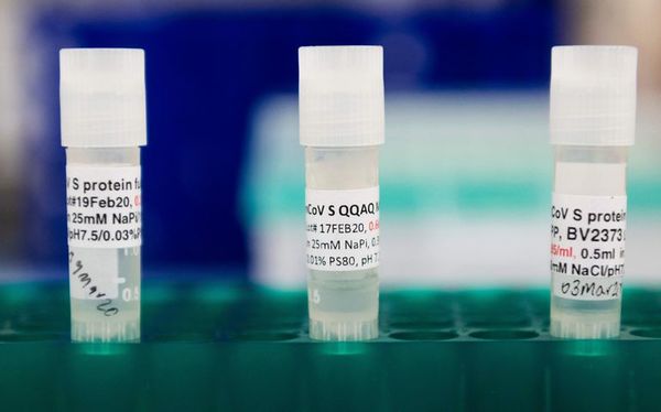 Novavax demuestra una alta eficacia para prevenir casos severos de covid - Mundo - ABC Color