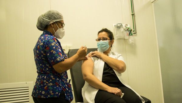 Las vacunas son "PRO-VIDA"