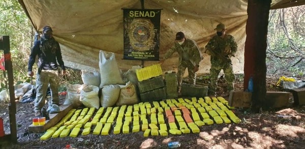 Senad destruye más de una tonelada de droga en campamento narco de Canindeyú | OnLivePy