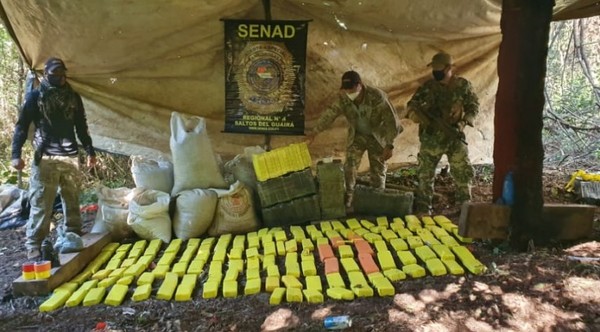 SENAD desmantela campamento narco y destruyen más de una tonelada de marihuana
