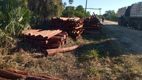 Invaden y sacan madera de propiedad privada en Puerto Casado