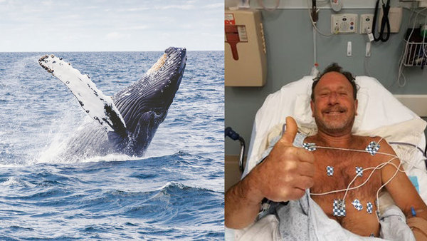 ¡Al mejor estilo de Jonás! Pescador logró escapar de una ballena jorobada tras ser ingerido