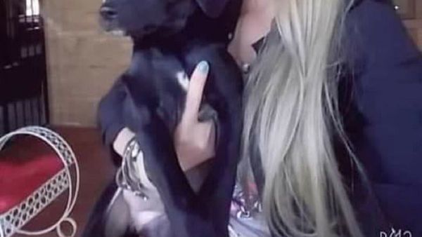 "Hay más recursos para buscar una vaca que a una mujer desaparecida"