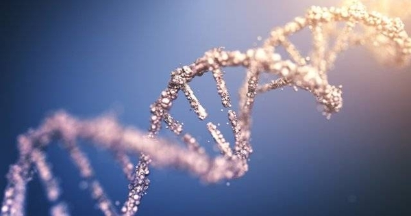 Diario HOY | Una proteína que ayuda a reparar el ADN podría potenciar la quimioterapia
