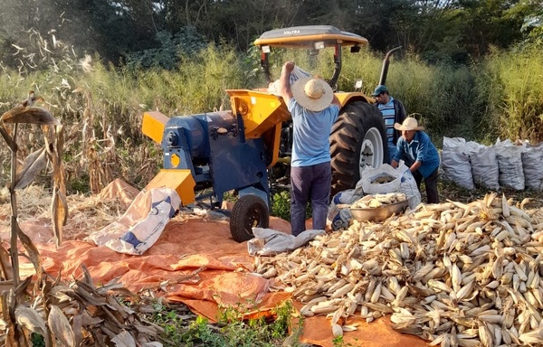 Agricultores beneficiarios del proyecto Diafpa, destacan mejoras en su producción | .::Agencia IP::.