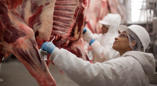 Posible consenso en Argentina para una apertura “suave” de la exportación de carne