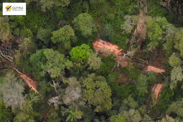 Claman por acciones para proteger la Reserva San Rafael | El Independiente