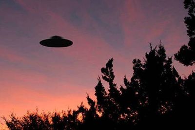 Científico advierte que ponerse en contacto con extraterrestres podría poner fin a la vida en la Tierra