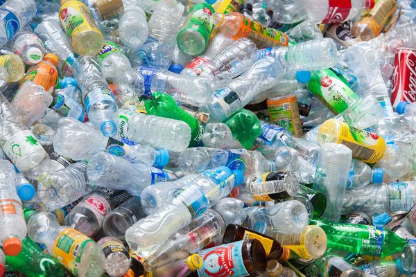 ¡Así como se lee! Científicos convierten botellas de plástico en aroma de vainilla