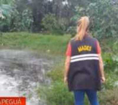 Carapeguá: Constatan irregularidades en un matadero - Paraguay.com
