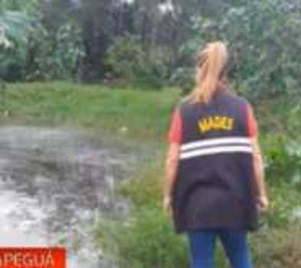 Carapeguá: Constatan irregularidades en un matadero - Paraguay.com
