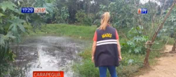 Carapeguá: Constatan irregularidades en un matadero | Noticias Paraguay