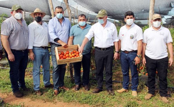 Conflicto en sector hortícola por el sistema de “Afidi” - Nacionales - ABC Color