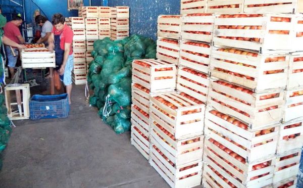 Apañuäi sector hortícola sistema “Afidi” rehe - ABC Remiandu - ABC Color