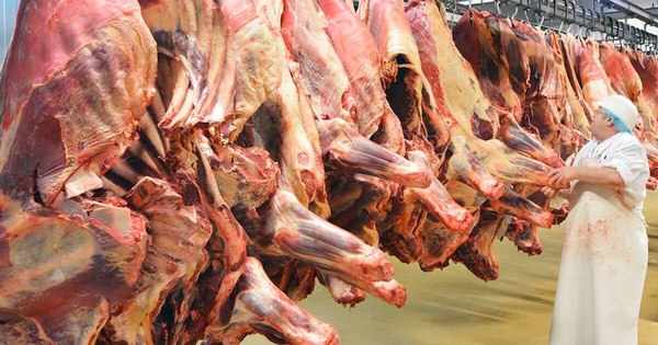 La Nación / Senacsa estima faenar 1.200.000 cabezas de ganado a junio del 2021