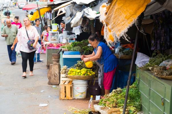 OIT: Paraguay se recupera, pero a costa de más empleo informal - MarketData