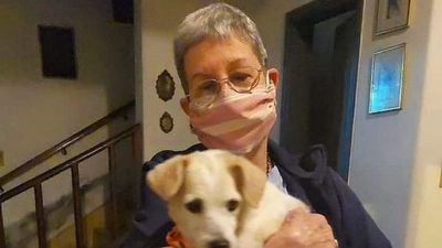 Perra que esperó a su dueña, víctima del Covid, ahora tiene nueva familia