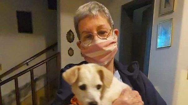 Perra que esperó a su dueña, víctima del Covid, ahora tiene nueva familia