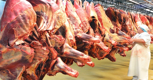 La Nación / Exportaciones de carne podrían llegar a nuevo récord de US$ 1.500 millones este año