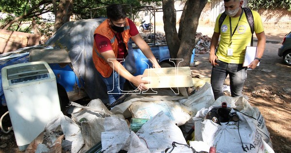 La Nación / Notificaciones de casos sospechosos de dengue van en descenso