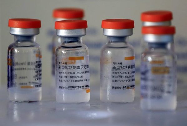 Chile recibe otro millón de vacunas Sinovac para frenar nuevo pico pandémico - Mundo - ABC Color