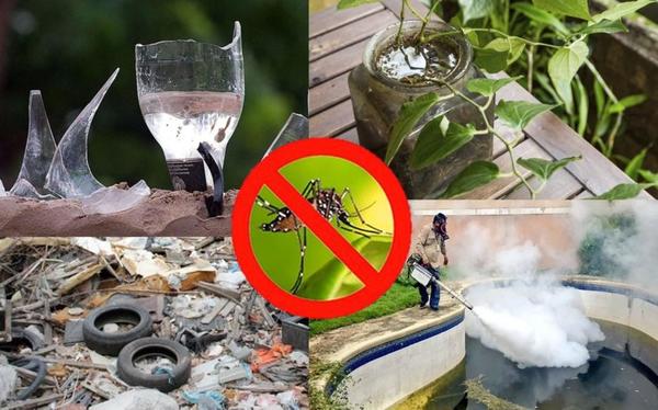 Dengue: Control y eliminación de criaderos deben continuar – Prensa 5