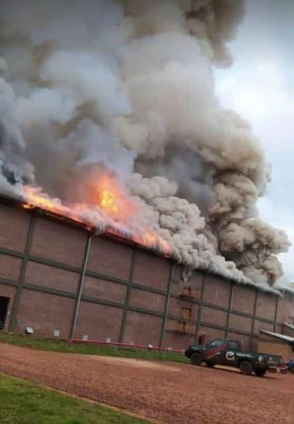 Arde yerbatera: Incendio de importante magnitud en Hohenau - Nacionales - ABC Color