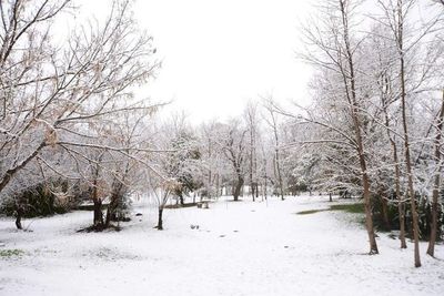 Córdoba helada: ¿Hay posibilidades de que llegue la nieve a Paraguay? - Nacionales - ABC Color