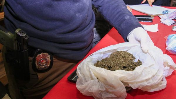 No era orégano: allanan pizzería desde donde vendían marihuana