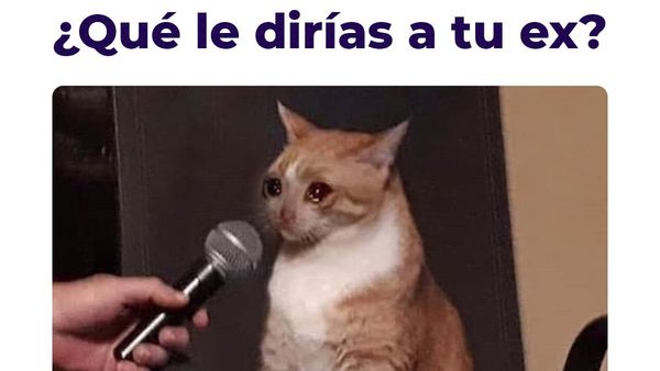 Llamativo concurso de un motel: "¿Qué le dirías a tu ex?"