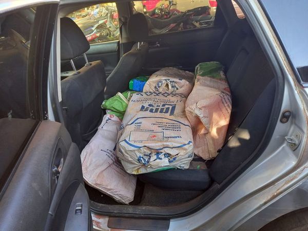 Persecución termina con incautación de unos 100 kilos de marihuana y un detenido - ABC en el Este - ABC Color