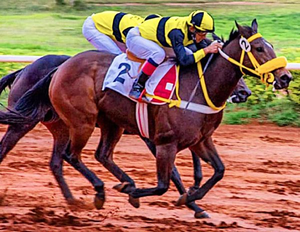 Supuesto doping de “Potrillos” en el Turf - Polideportivo - ABC Color