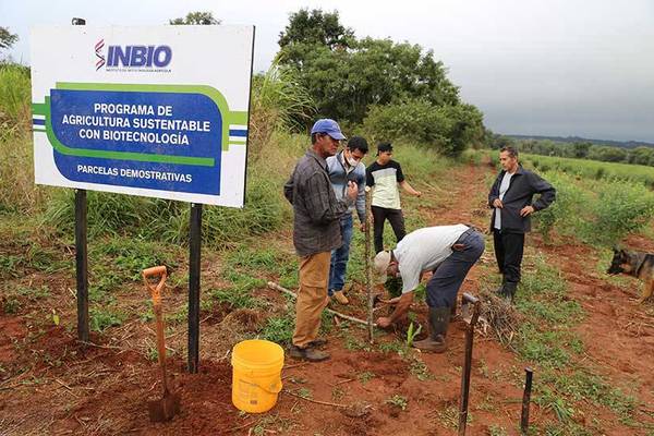 Buscan introducir biotecnología en el sistema de la agricultura sustentable