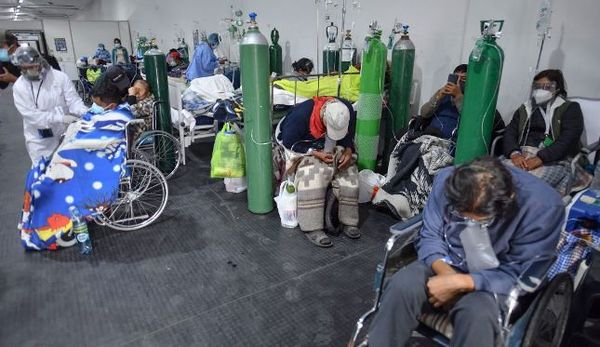 Cepa andina clasificada como “de interés” por expansión en A. Latina | .::Agencia IP::.