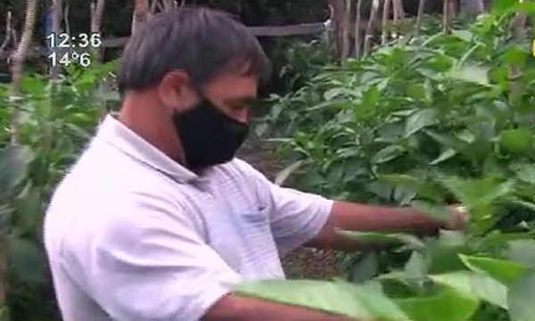 Túa ára: Don Virginio vy'a - SNT
